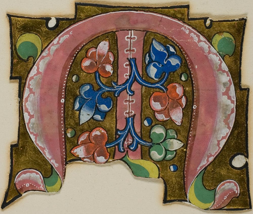 Decorated Initial "M" in Pink with Conventional Leaves from a Choir Book