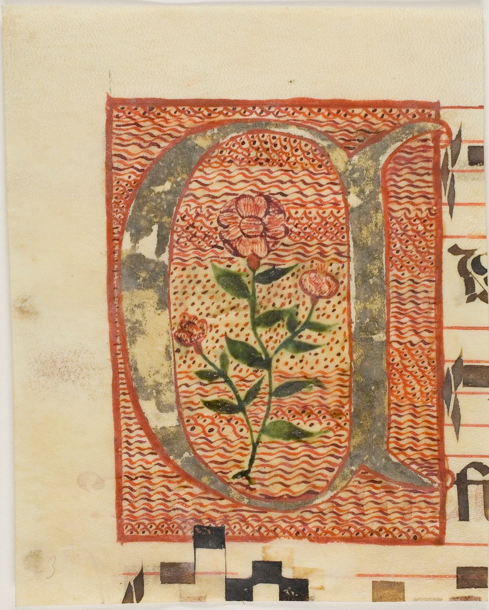 Decorated Initial "A" with Flower from a Manuscript