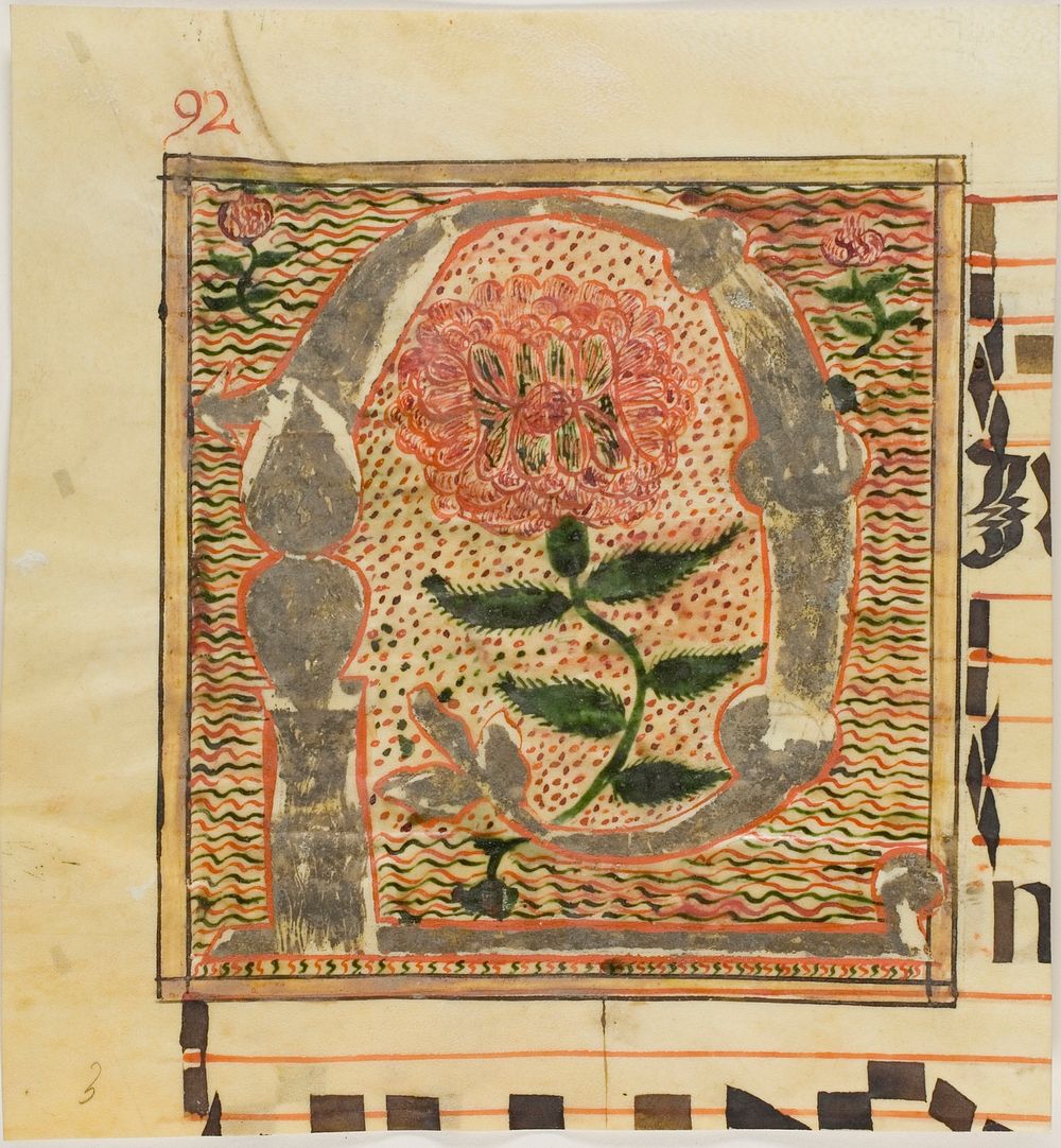 Decorated Initial "P" with Roses from a Manuscript