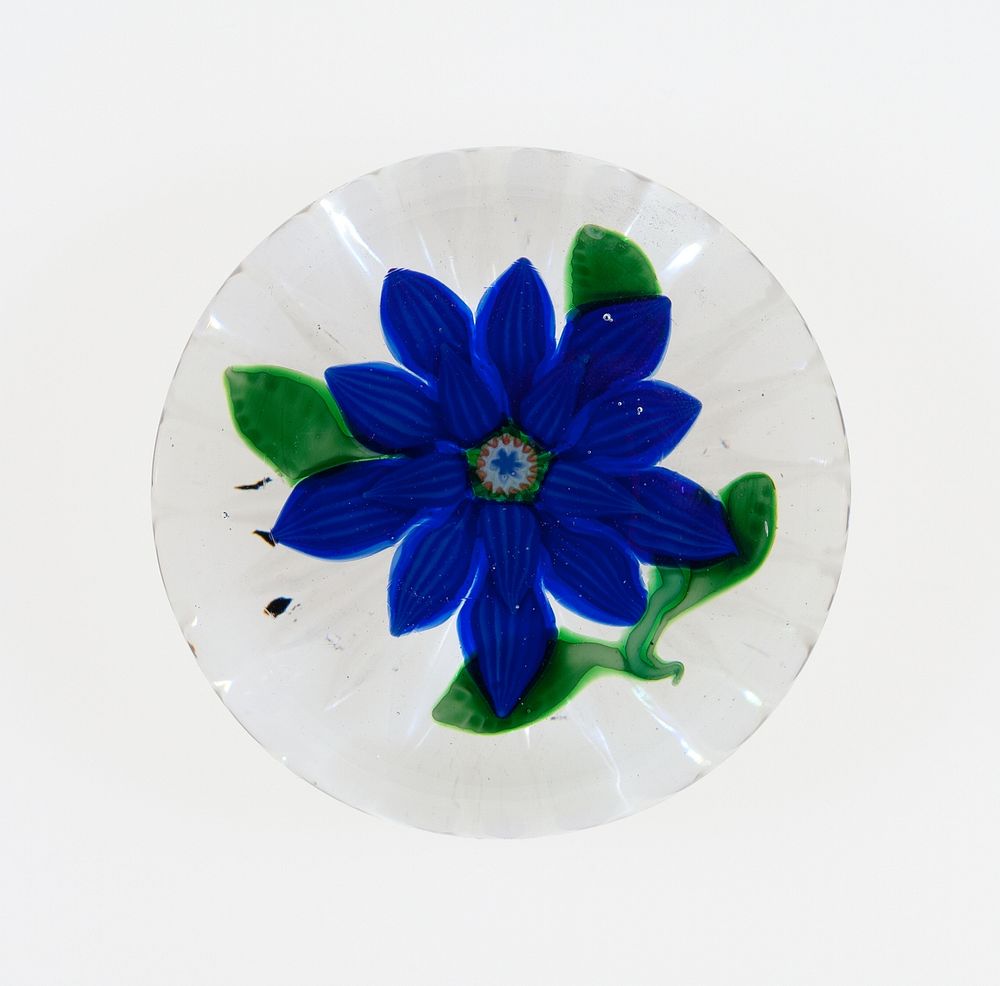 Paperweight by Compagnie de Saint Louis