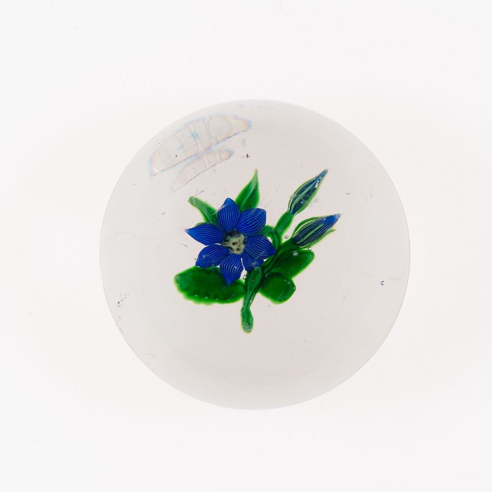 Paperweight by Compagnie de Saint Louis