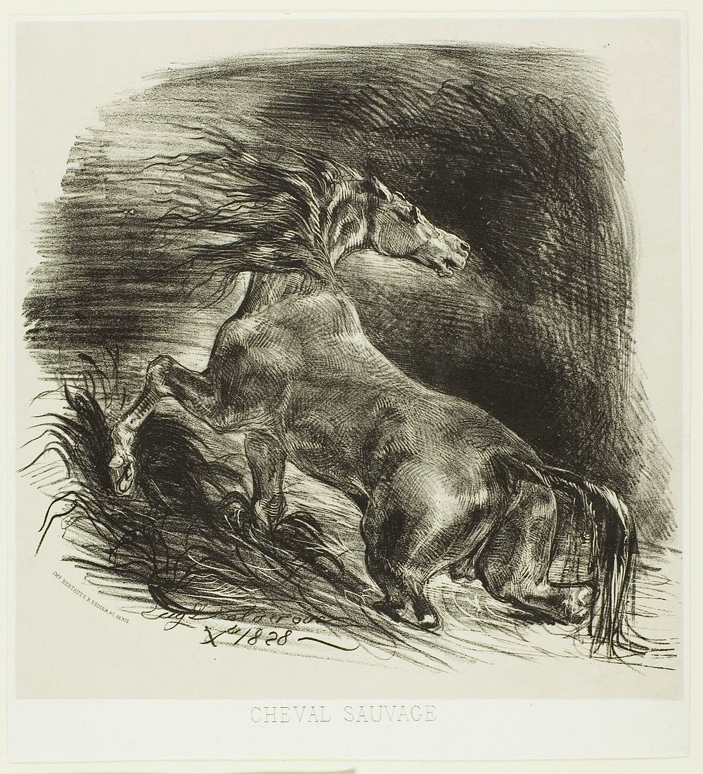 Wild Horse or Frightened Horse Leaving the Water by Eugène Delacroix