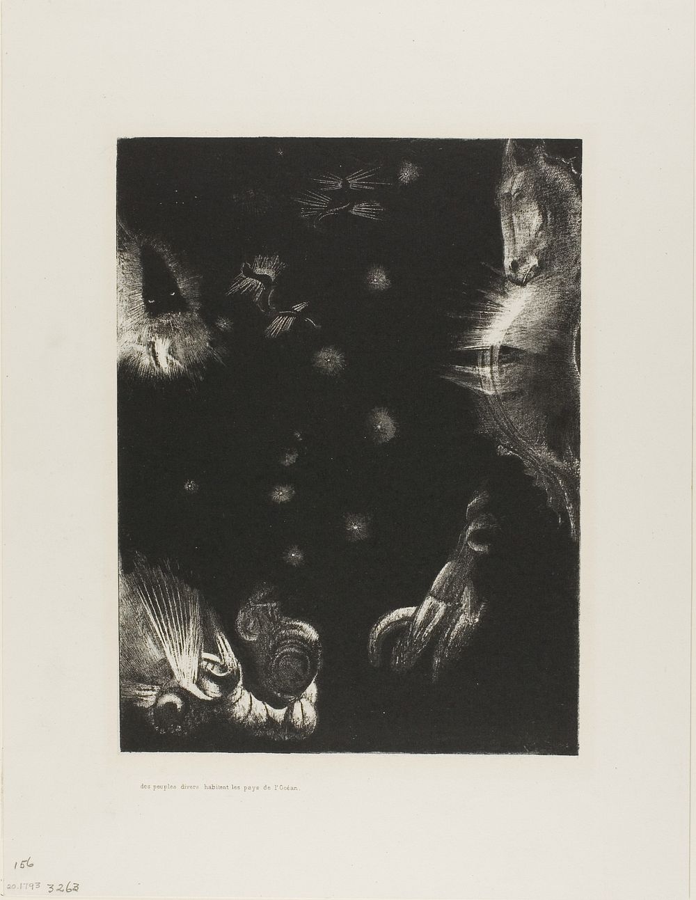 Different Peoples Inhabit the Countries of the Ocean, plate 23 of 24 by Odilon Redon