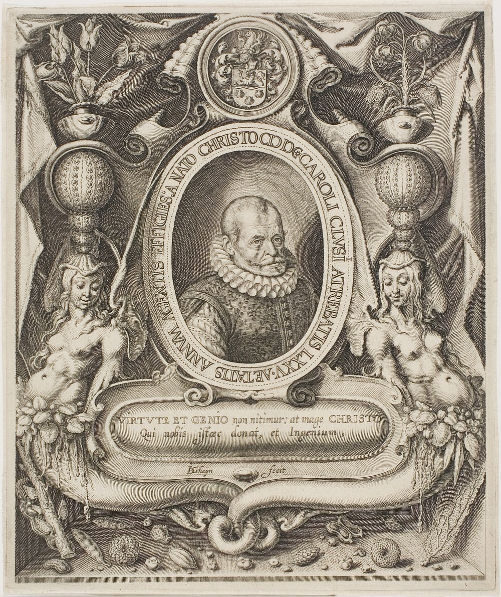 Carolus Clusius by Jacob de Gheyn, II