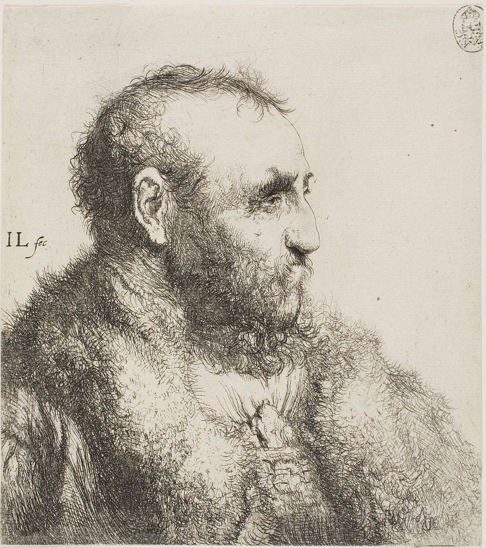 Bust of an Old Man by Jan Lievens