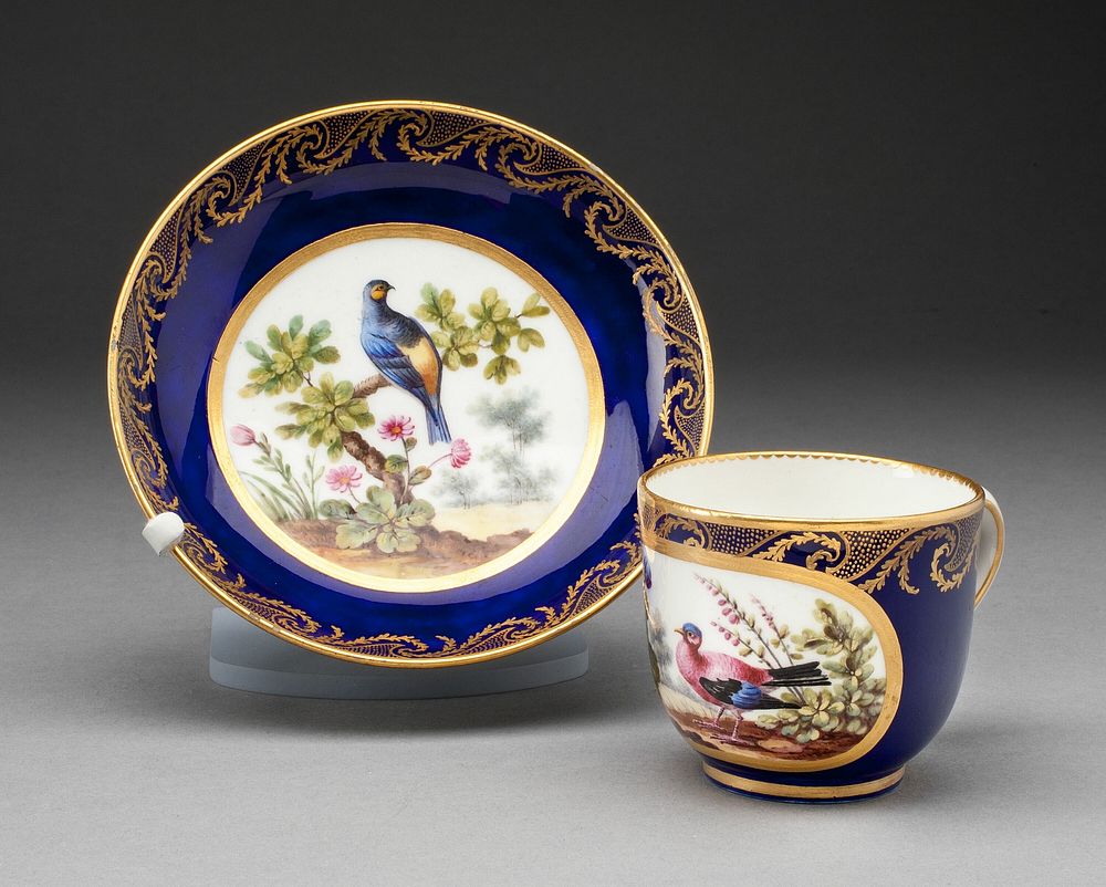 Cup and Saucer by Manufacture nationale de Sèvres (Manufacturer)