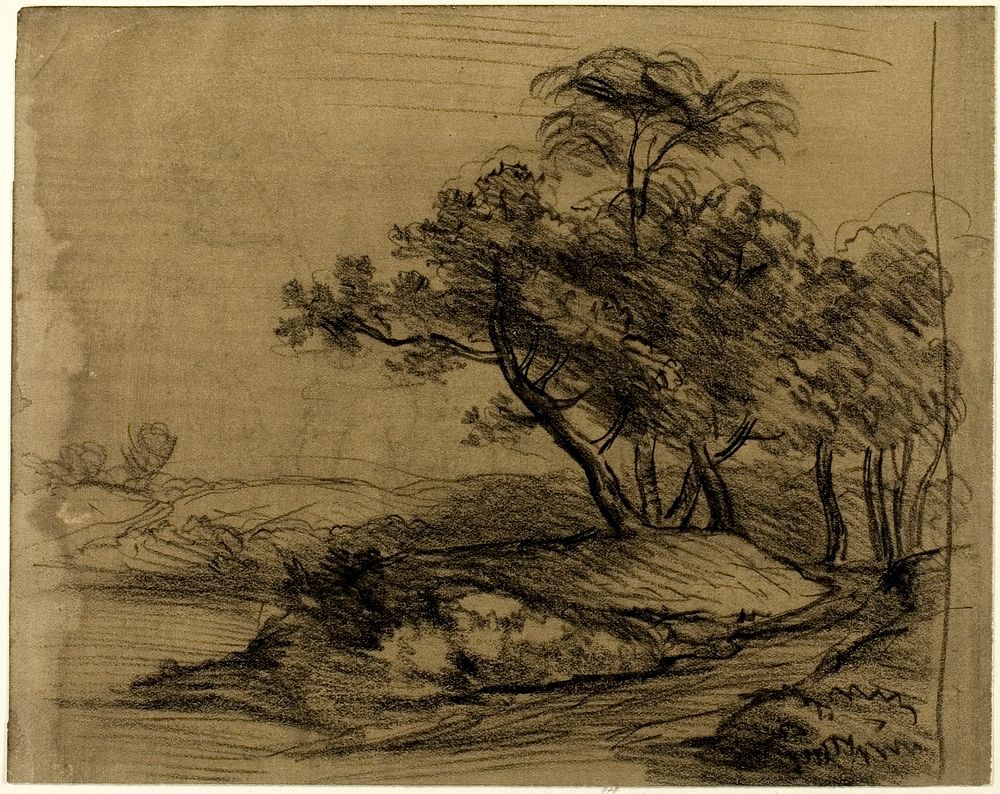 River Bank with Trees (recto); Herd of Cattle Beneath Trees, with Inset Sketch of Landscape (verso) by John Constable
