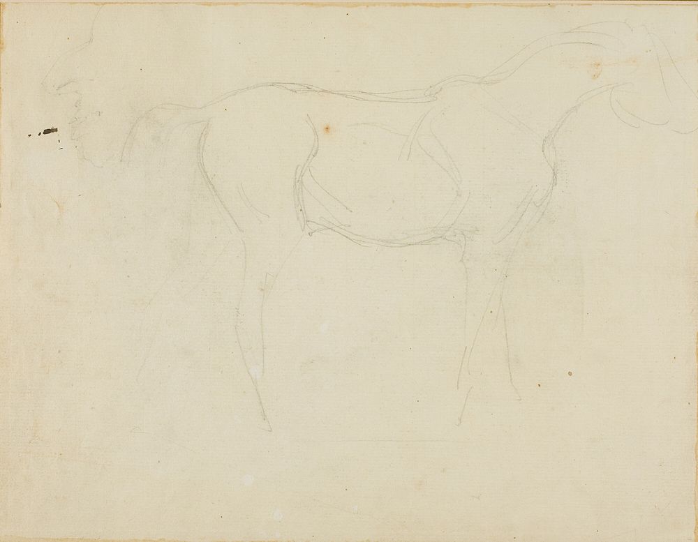 Sketch of a Horse Facing Right and a Caricature in Profile by Jean Louis André Théodore Géricault