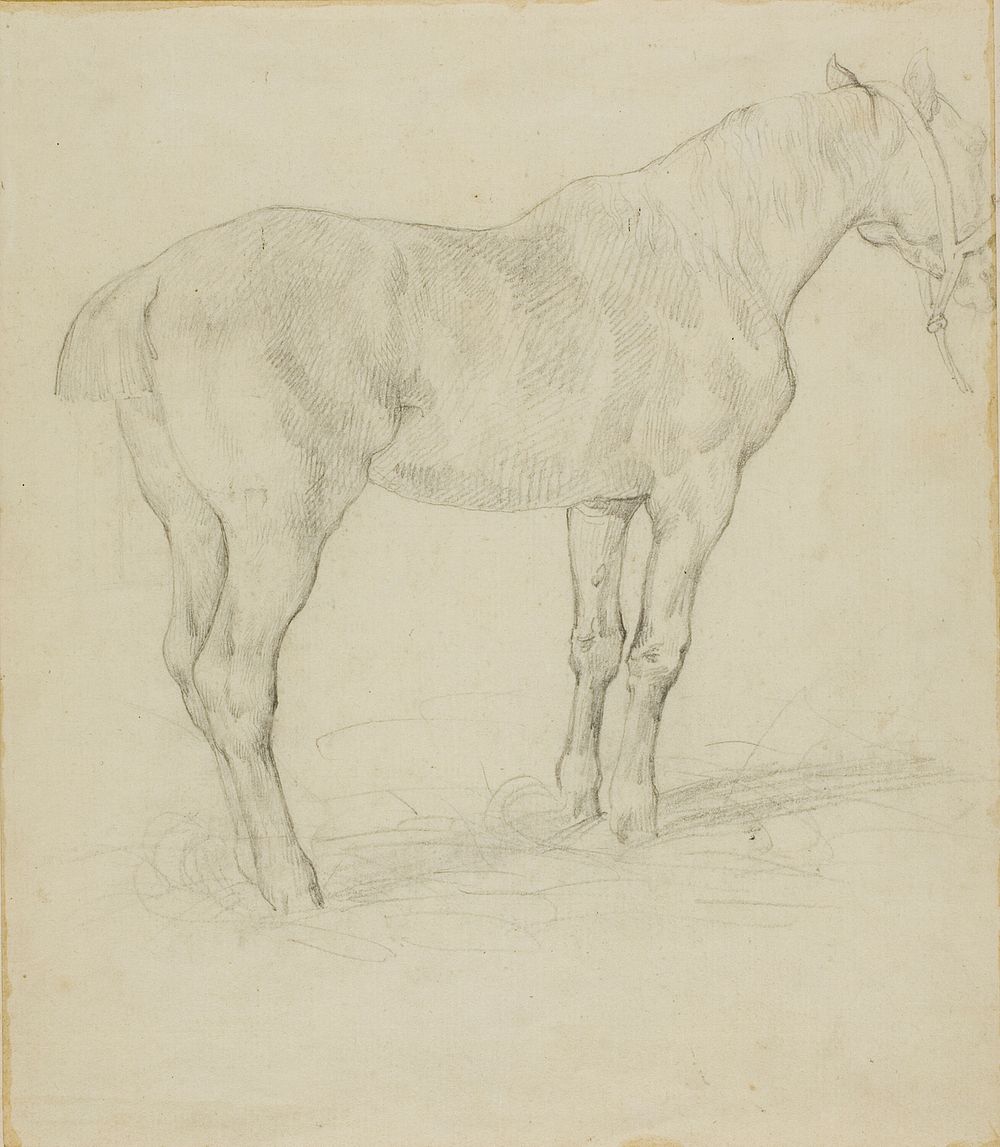 Standing Horse by Jean Louis André Théodore Géricault