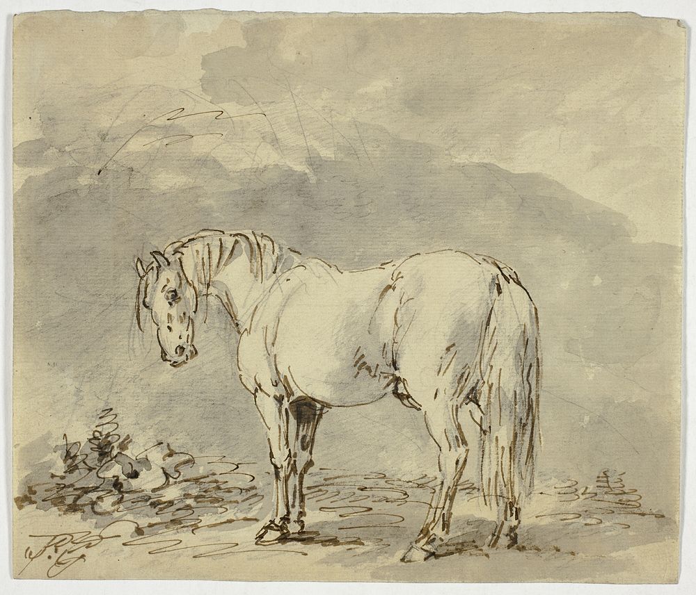 Standing Horse with Head Turned by Sawrey Gilpin