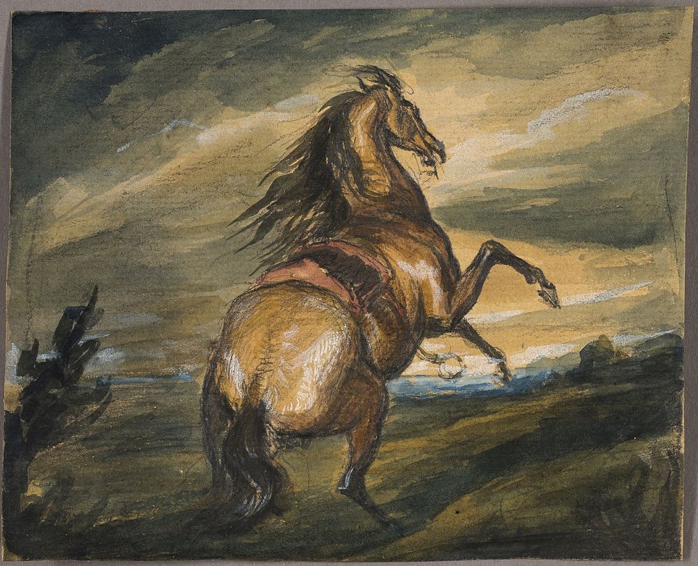 Rearing Horse by Edwin Henry Landseer
