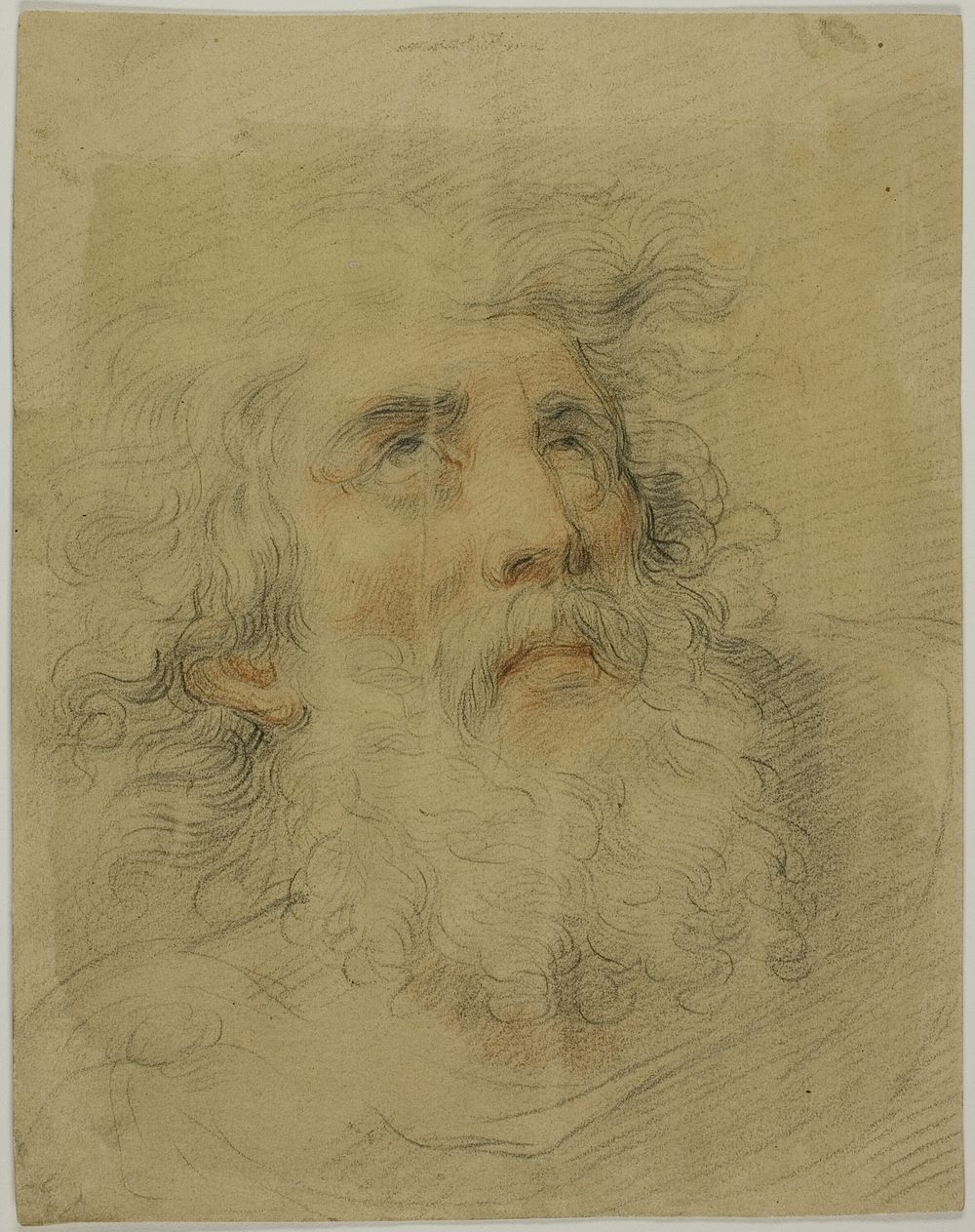 Head of King Lear by Giovanni Battista Cipriani
