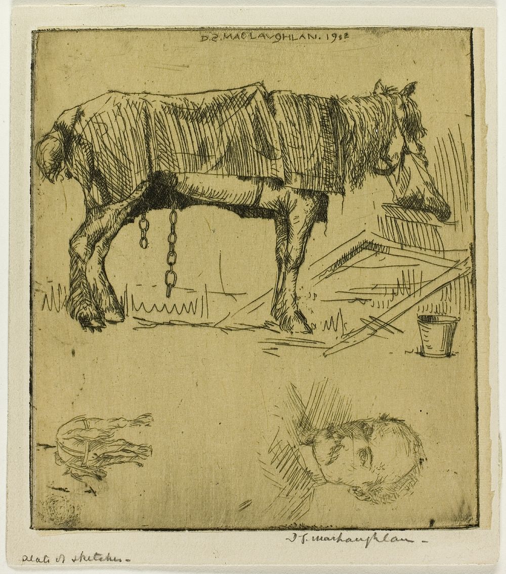 Plate of Sketches by Donald Shaw MacLaughlan