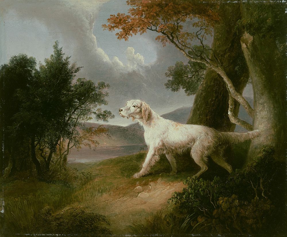 Landscape with Dog by Thomas Doughty