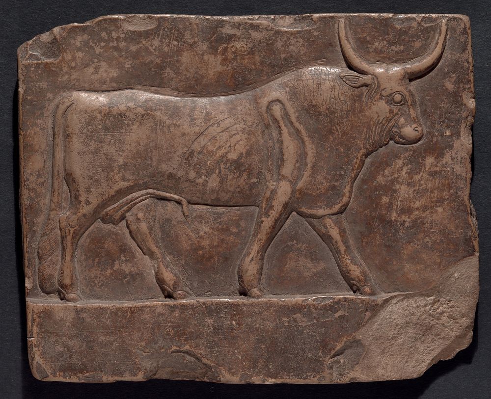 Relief of a Bull by Ancient Egyptian