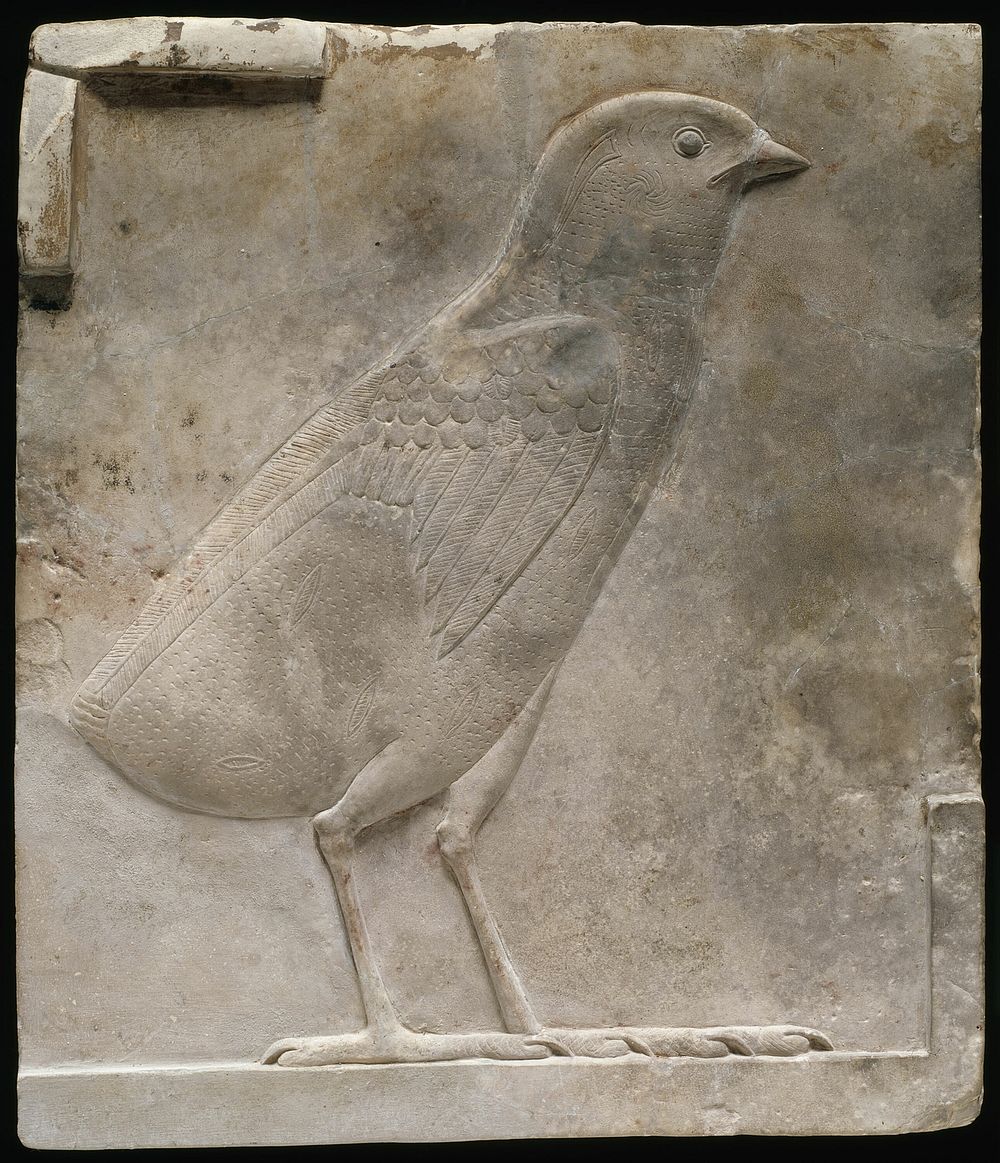 Plaque Depicting a Quail Chick by Ancient Egyptian