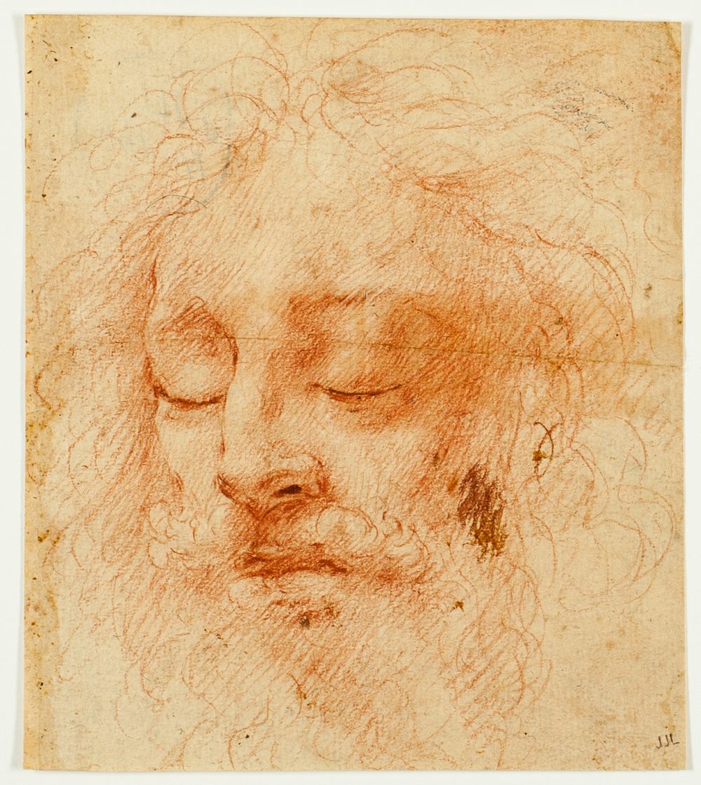 Head of a Sleeping Man by Antonio da Correggio