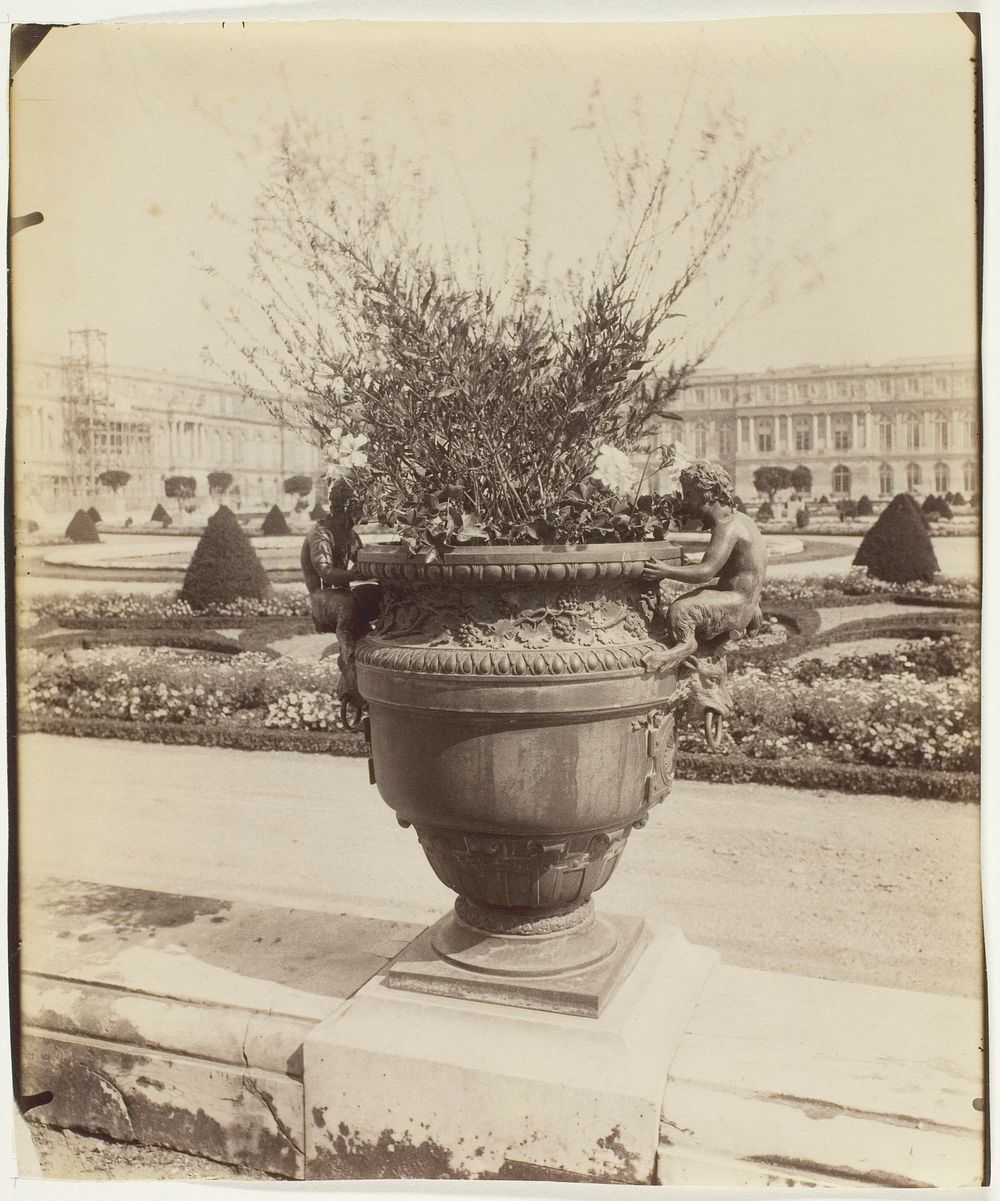 Versailles, Vase par Ballin by Jean-Eugène-Auguste Atget