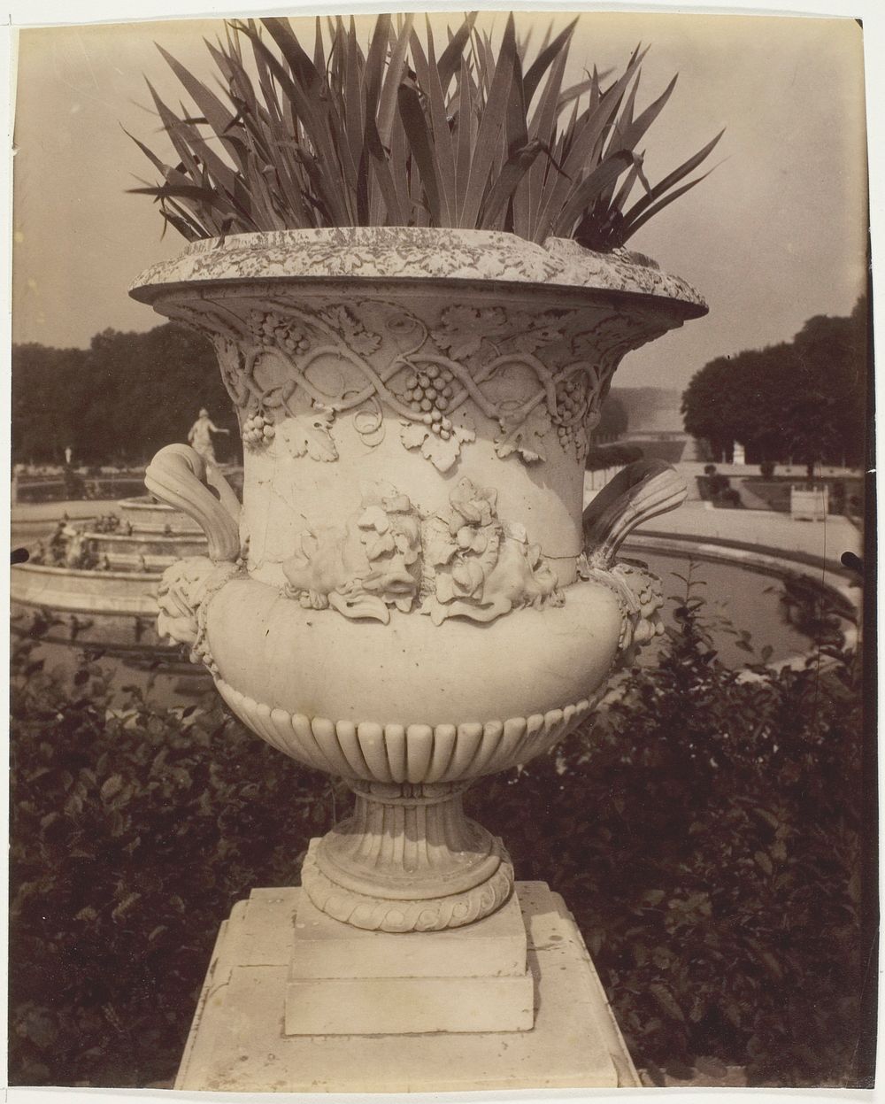 Versailles, Vase by Jean-Eugène-Auguste Atget
