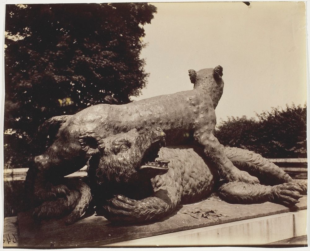 Versailles, Fontaine du Point du Jour, (Tigre Terrassant un Ours par Houzeau) by Jean-Eugène-Auguste Atget