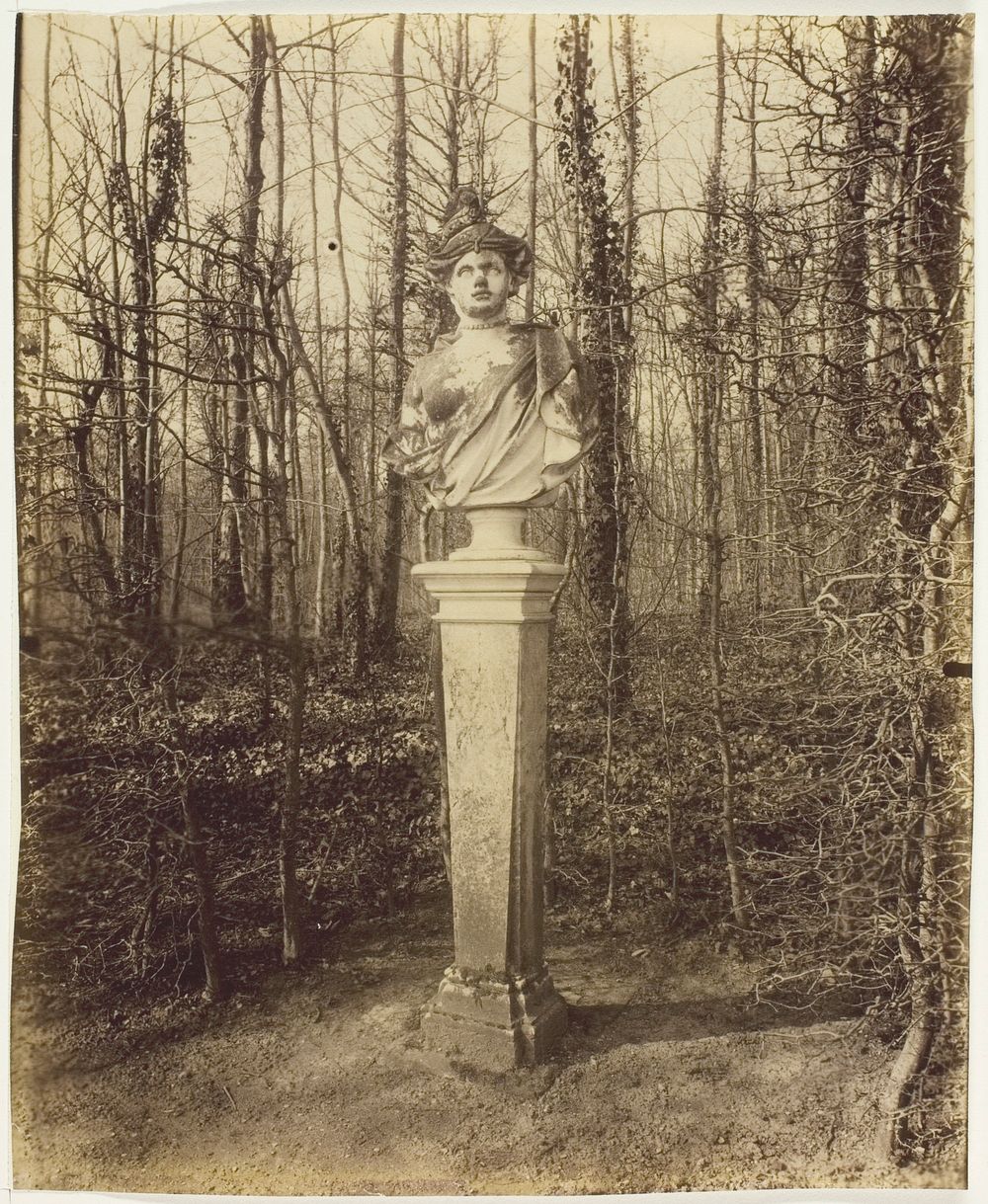 Versailles, Trianon, (Coin de Parc) by Jean-Eugène-Auguste Atget