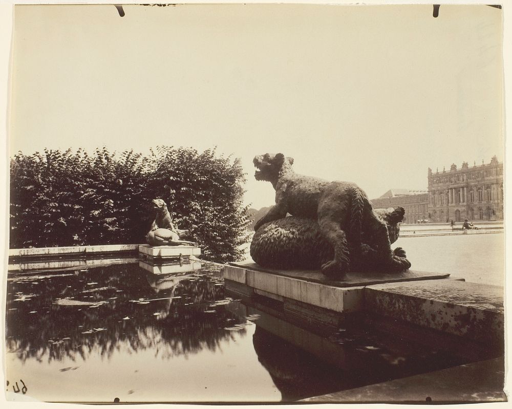Versailles, Fontaine du Point du Jour, (Tigre Terrassant un Ours par Houzeau) by Jean-Eugène-Auguste Atget