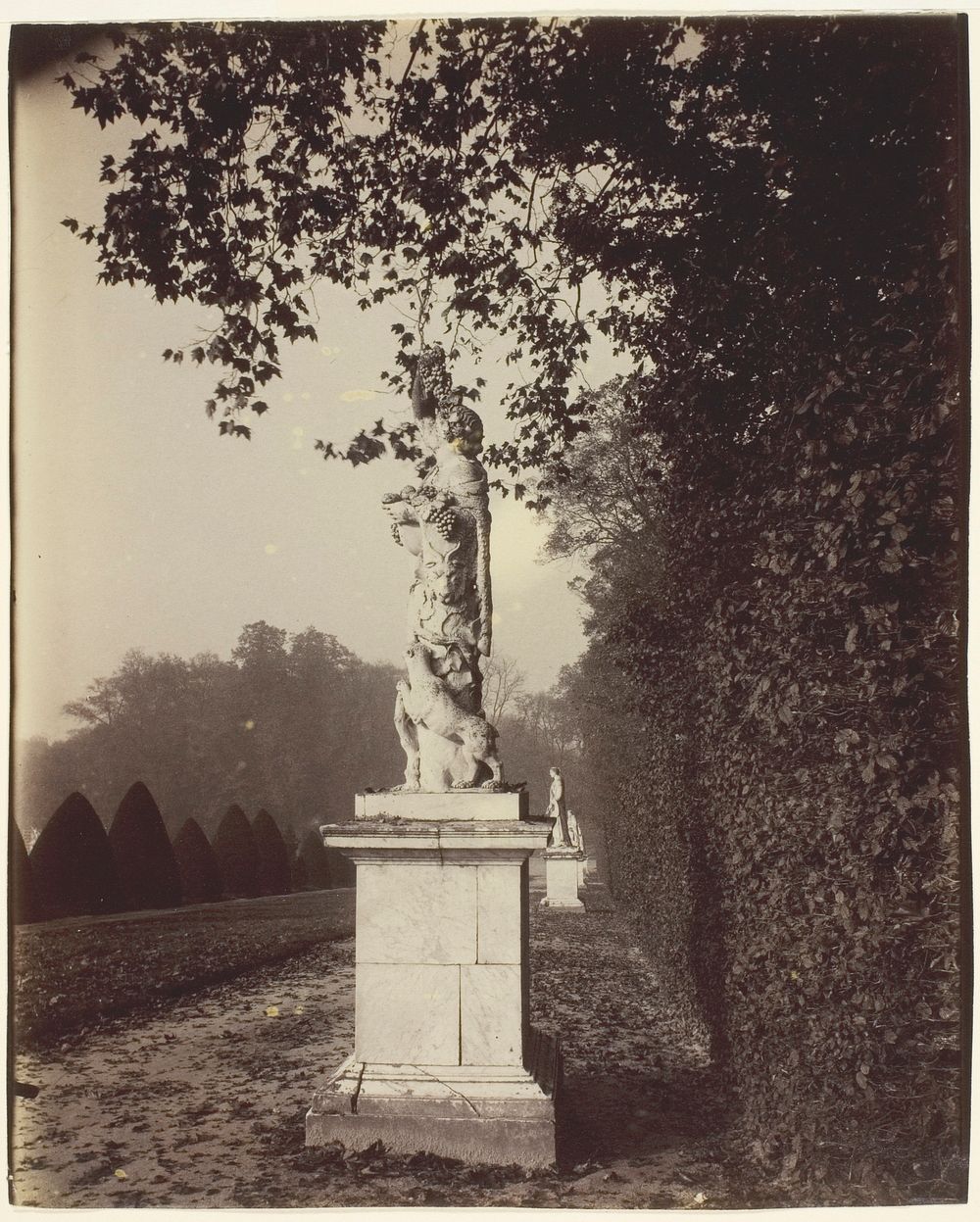 Versailles, Coin de Parc by Jean-Eugène-Auguste Atget