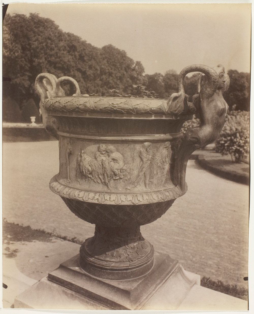 Versailles, Vase par Ballin by Jean-Eugène-Auguste Atget