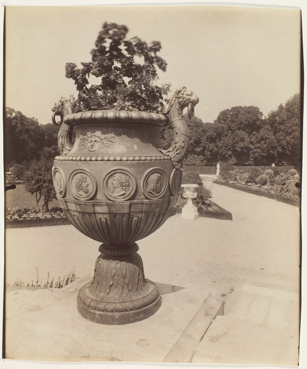 Versailles, Vase par Ballin by Jean-Eugène-Auguste Atget