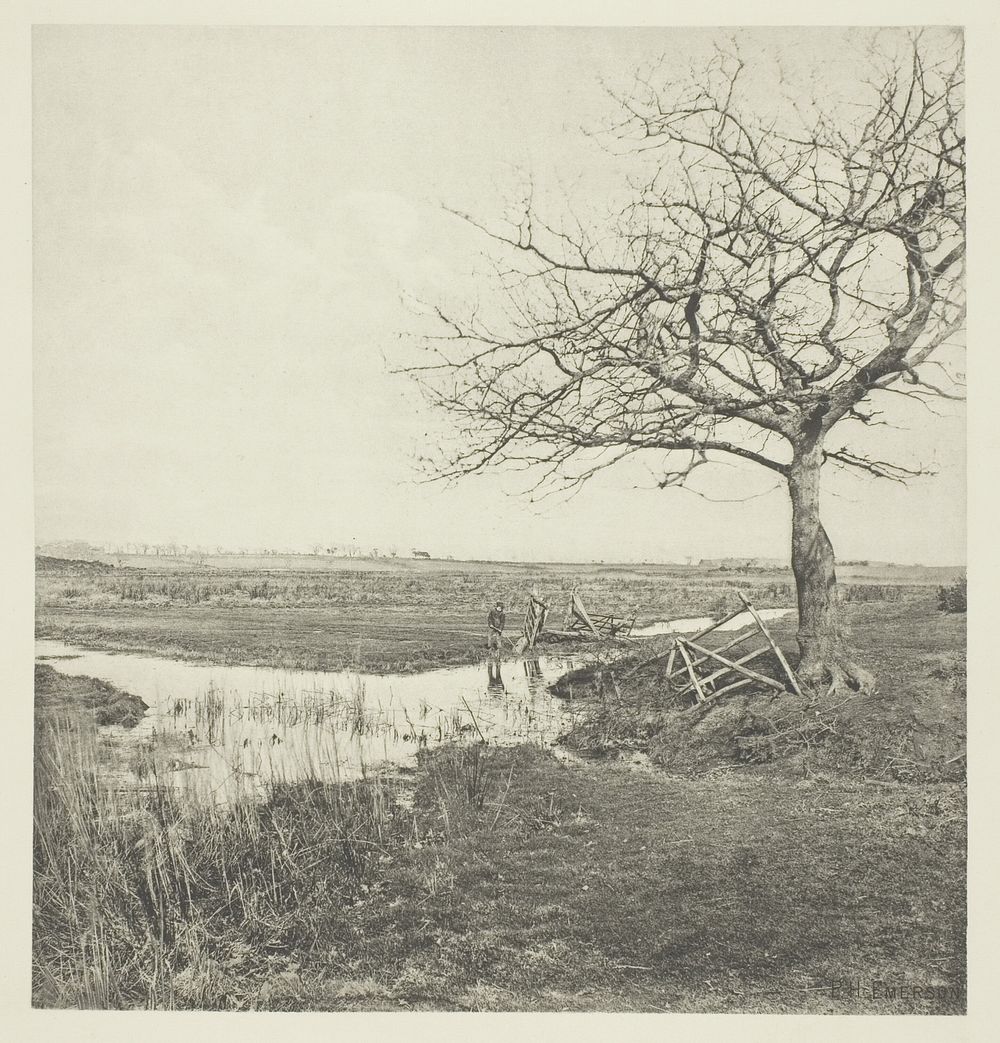 Leafless March (Suffolk) by Peter Henry Emerson