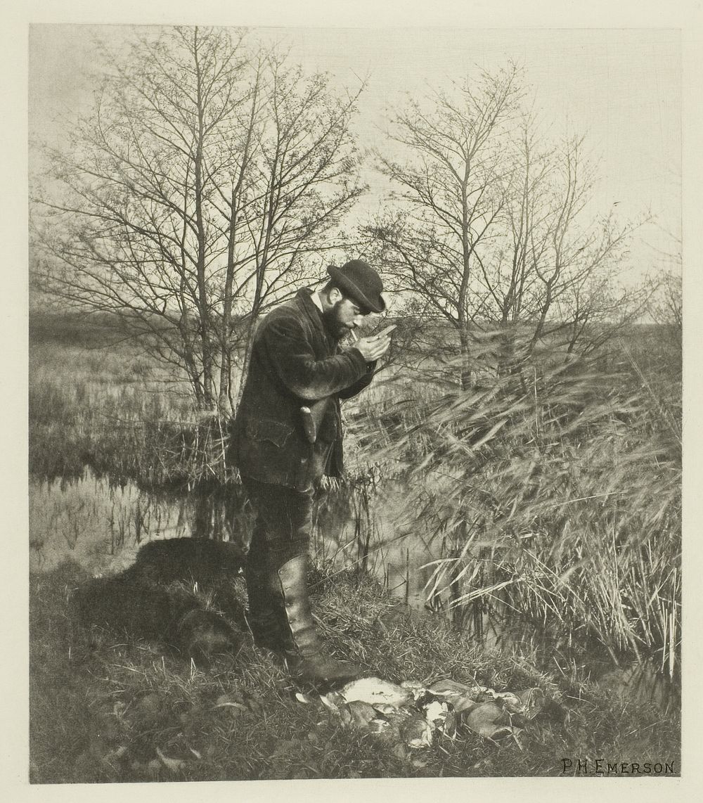 At the Covert Corner (Norfolk) by Peter Henry Emerson