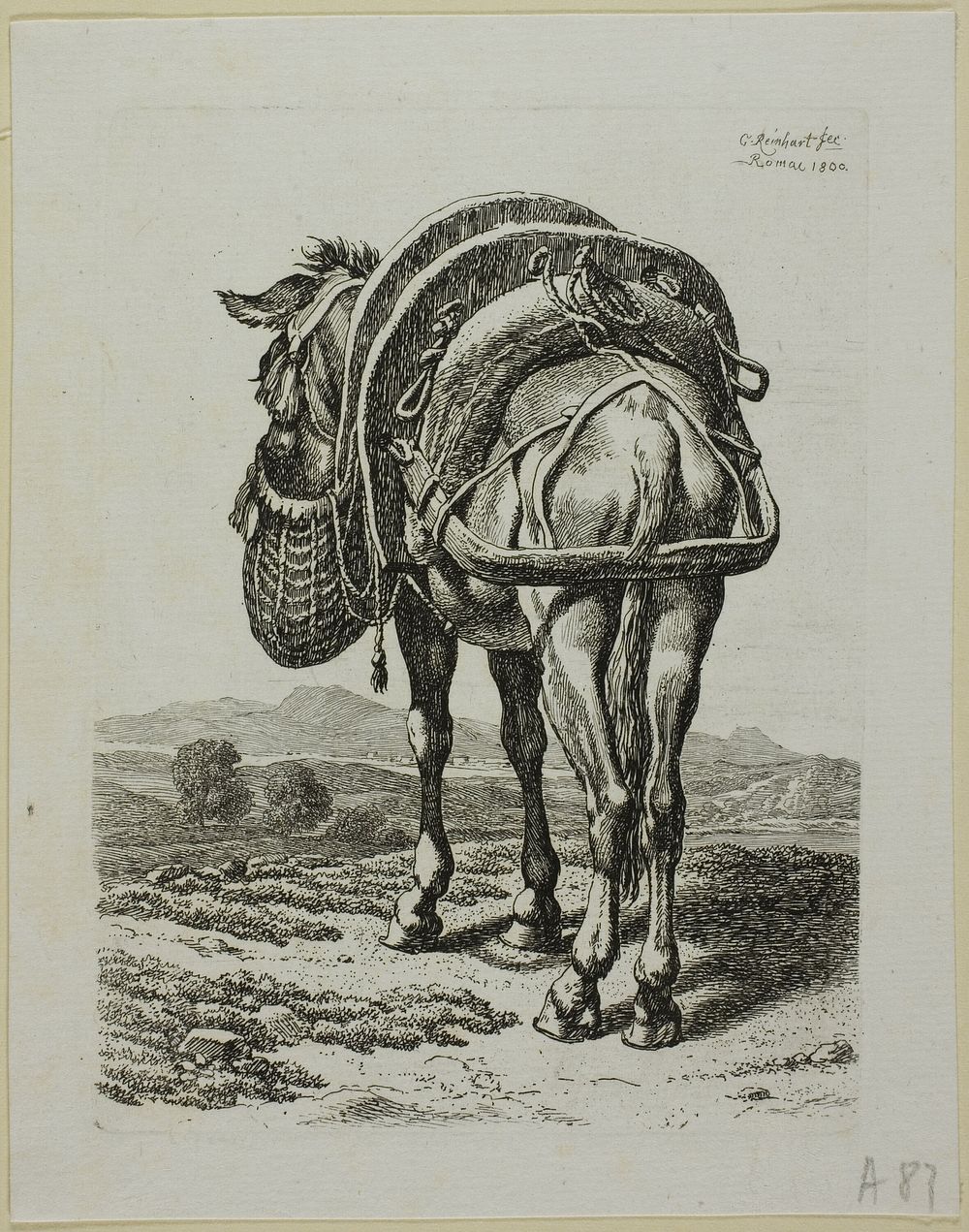 Feeding Mule - Rear, from Die Zweite Thierfolge by Johann Christian Reinhart