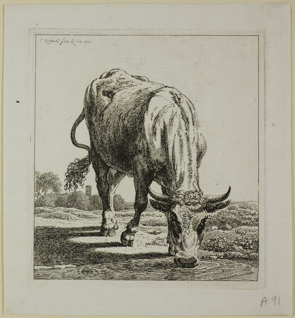 Cow Drinking, from Die Zweite Thierfolge by Johann Christian Reinhart