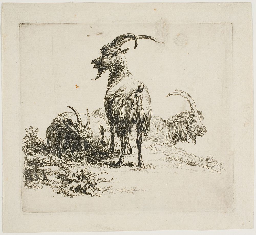 Goats, from Various Animals by Nicolaes Berchem