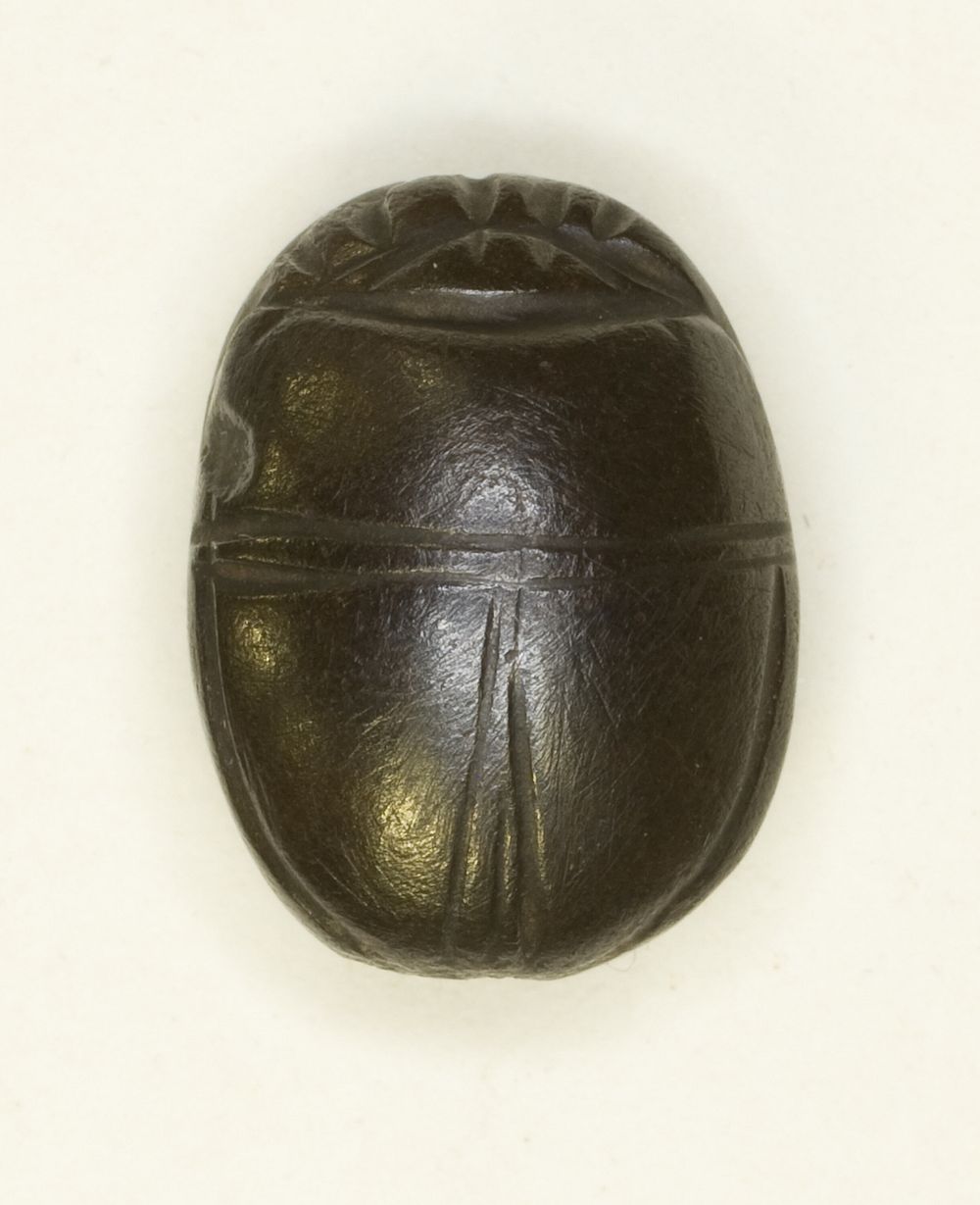 Scarab: Uninscribed by Ancient Egyptian