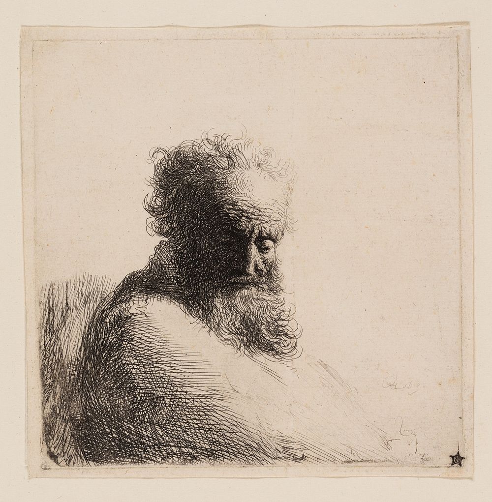 Bust of an Old Bearded Man, Looking Down, Three Quarters Right by Rembrandt van Rijn
