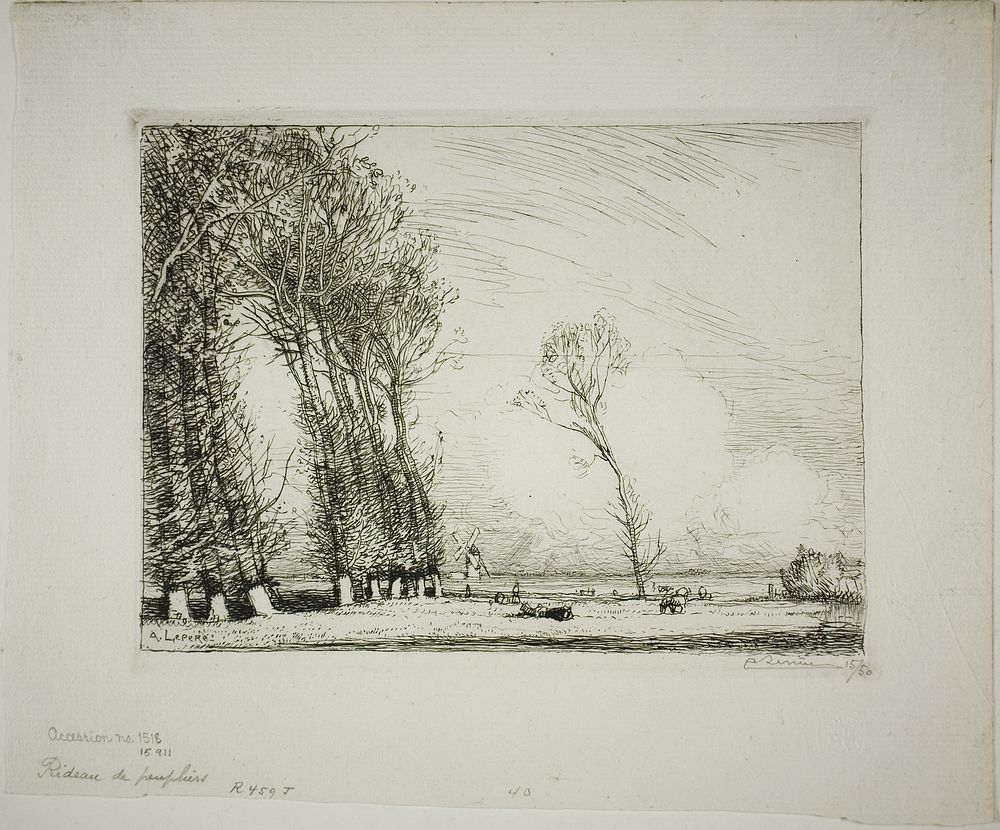 Screen of Poplars by Louis Auguste Lepère