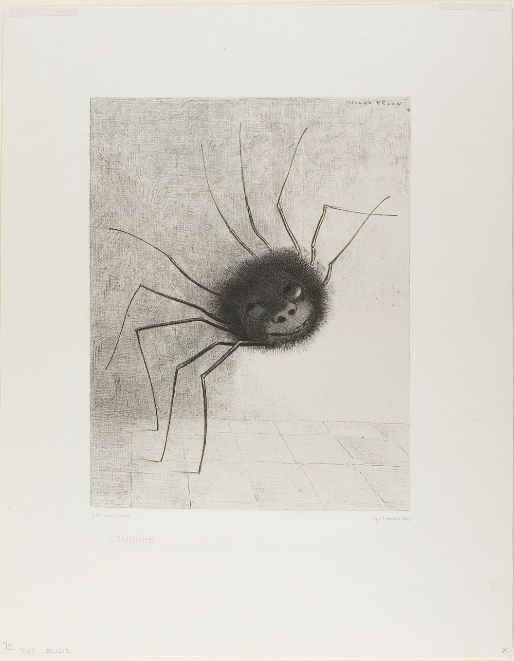 Spider by Odilon Redon