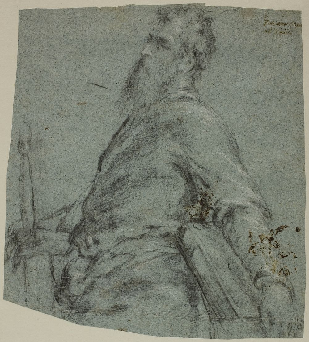 Half-length Figure Study for Saint Paul by Jacopo Bassano