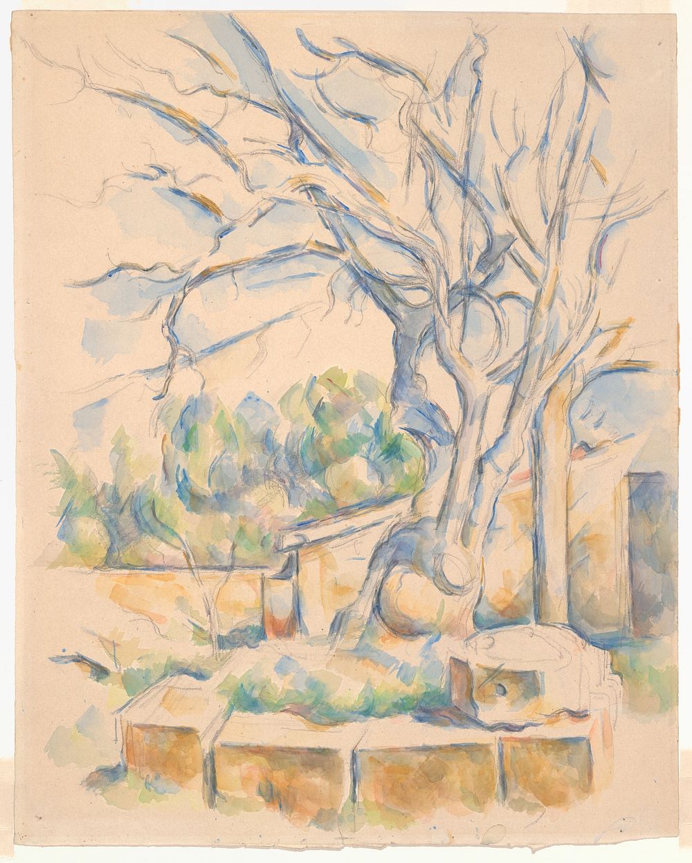 Pistachio Tree at Château Noir by Paul Cezanne