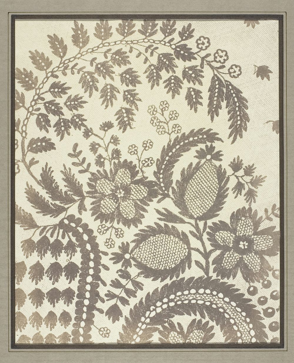 Lace by William Henry Fox Talbot