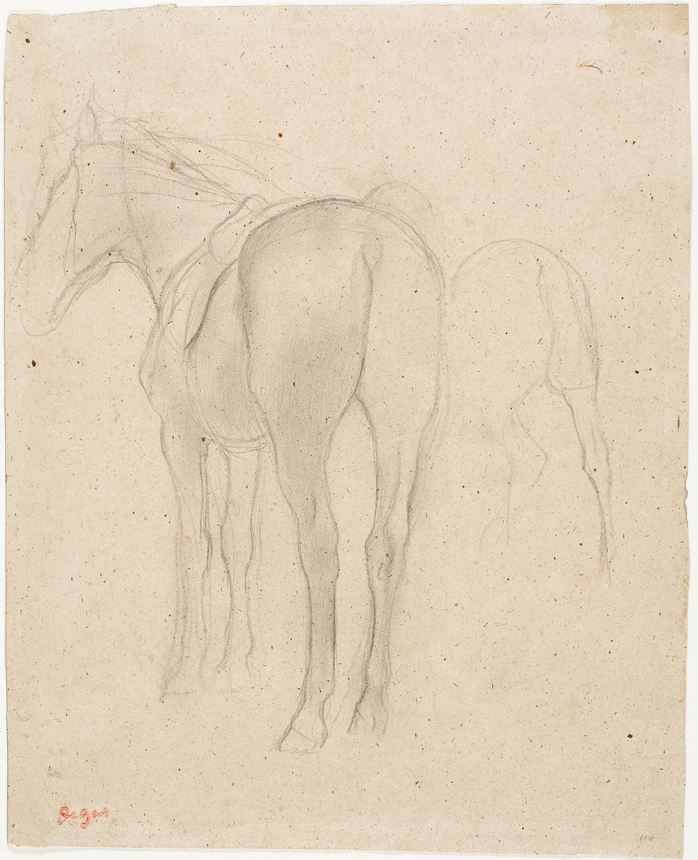 Studies of a Horse by Hilaire Germain Edgar Degas
