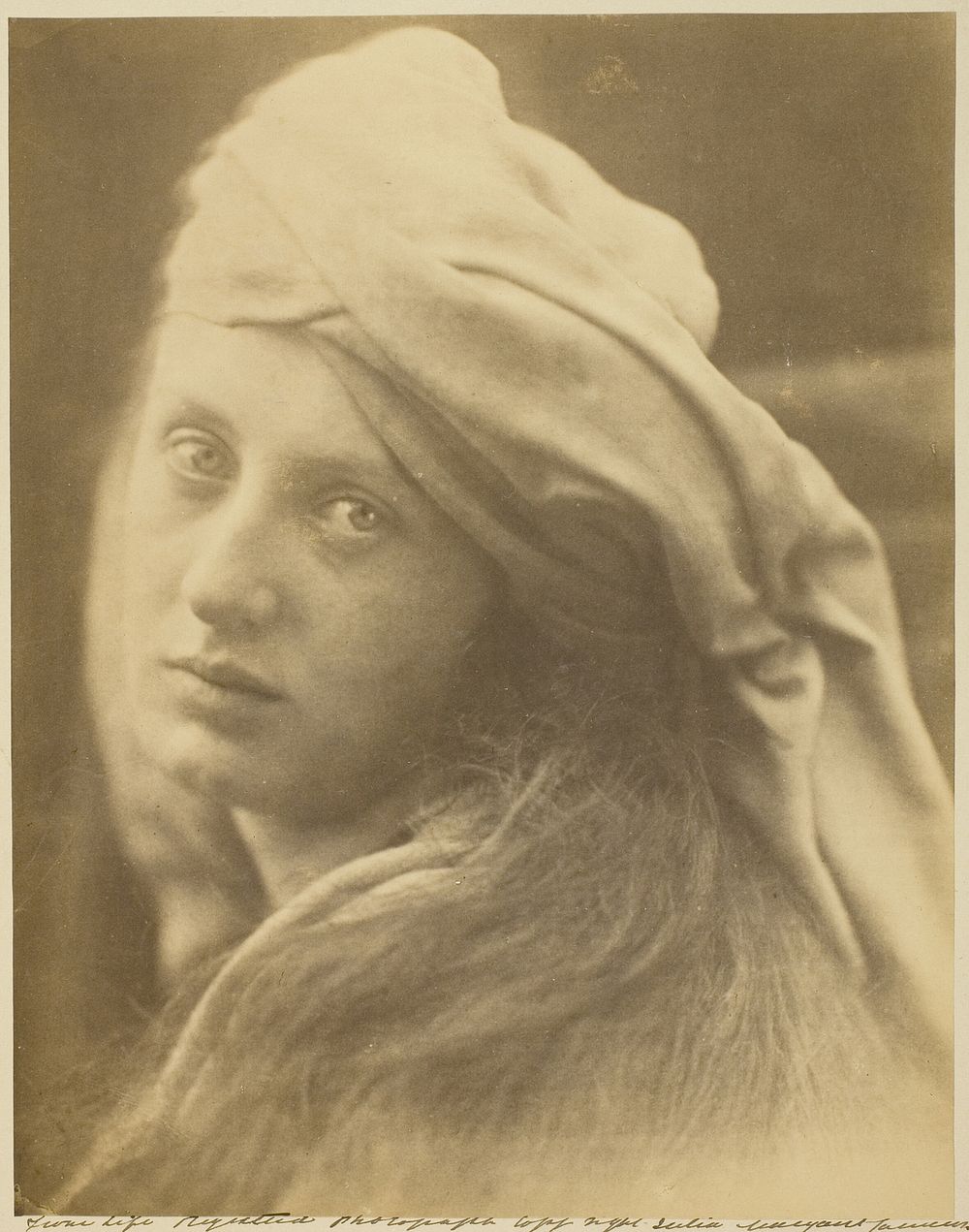 A Study of the Beatrice Cenci by Julia Margaret Cameron