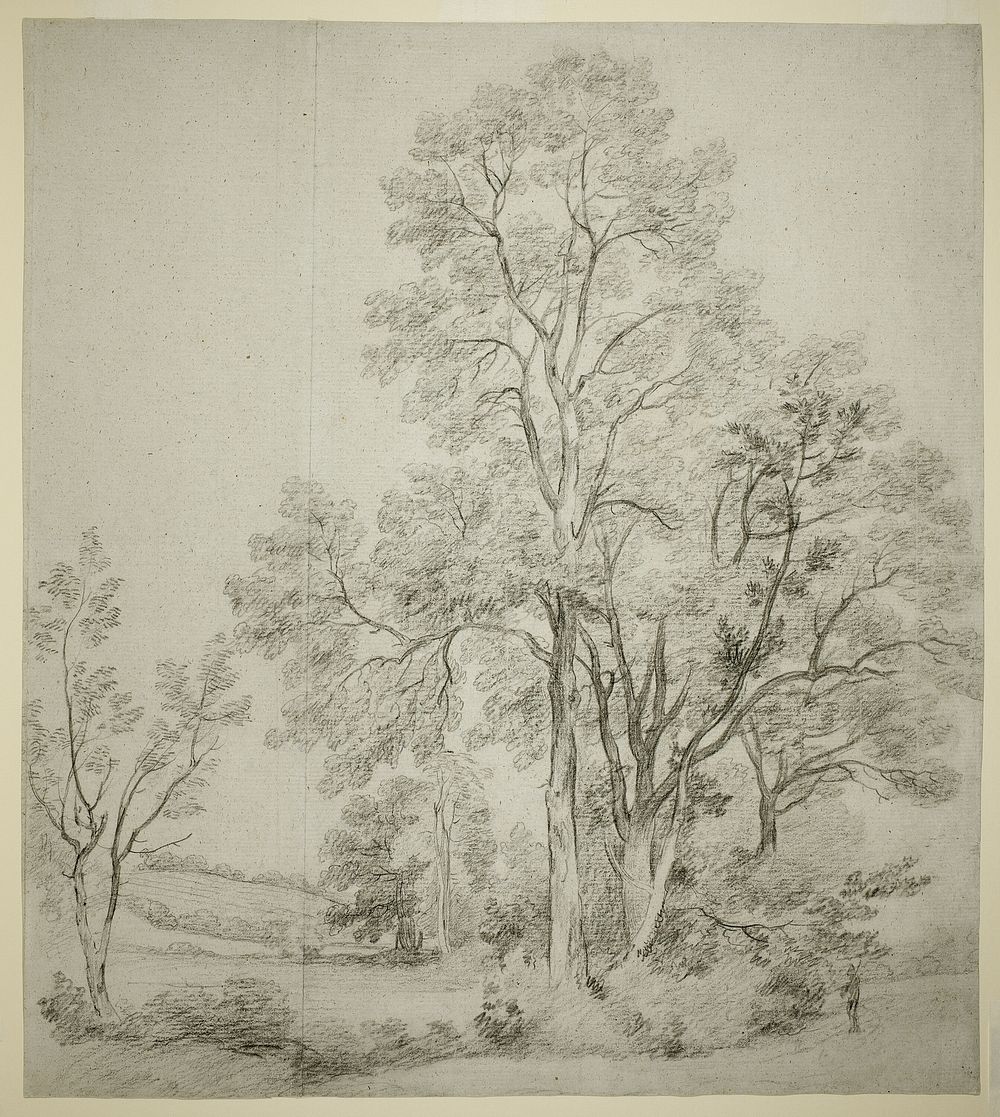 A Stand of Elm Trees (recto); A Study of East Bergholt with the Church (verso) by John Constable