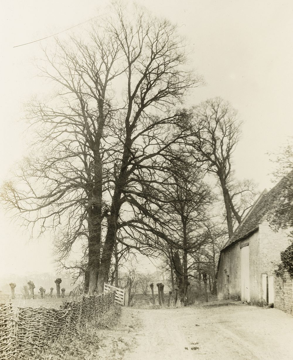 Kelmscott Manor: Road and Entrance by Frederick H. Evans