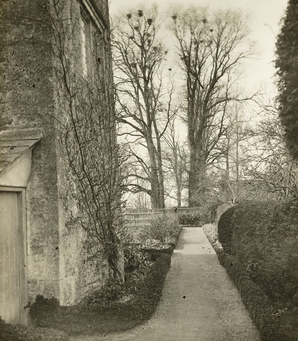 Kelmscott Manor: In the Garden by Frederick H. Evans