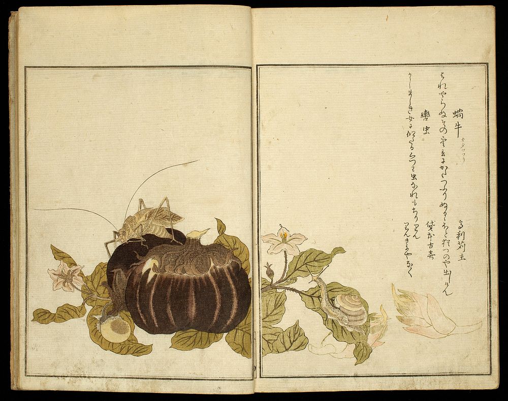 Picture Book: Selected Insects (Ehon mushi erabi), Selected Insects (Ehon mushi erami) by Kitagawa Utamaro