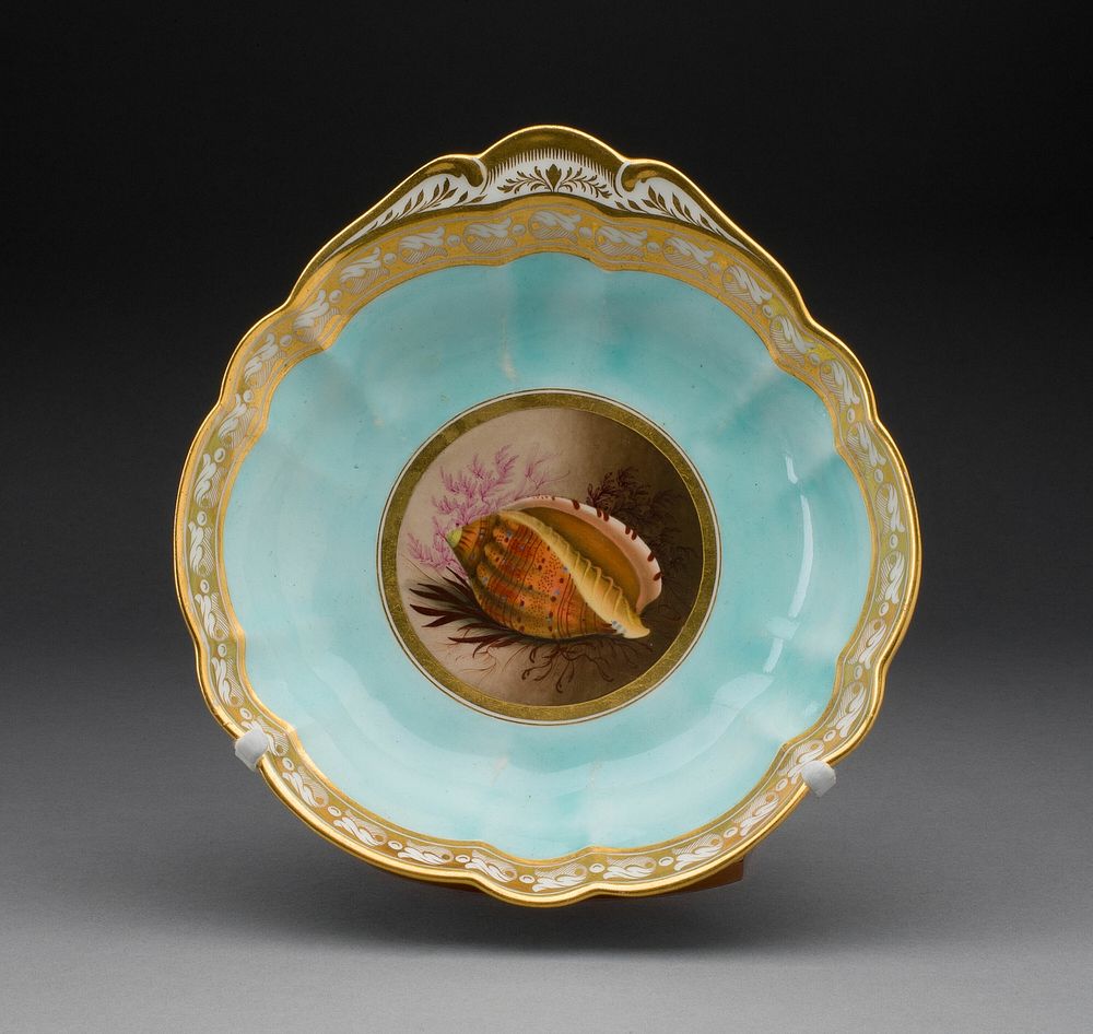 Plate by Worcester Porcelain Factory (Manufacturer)