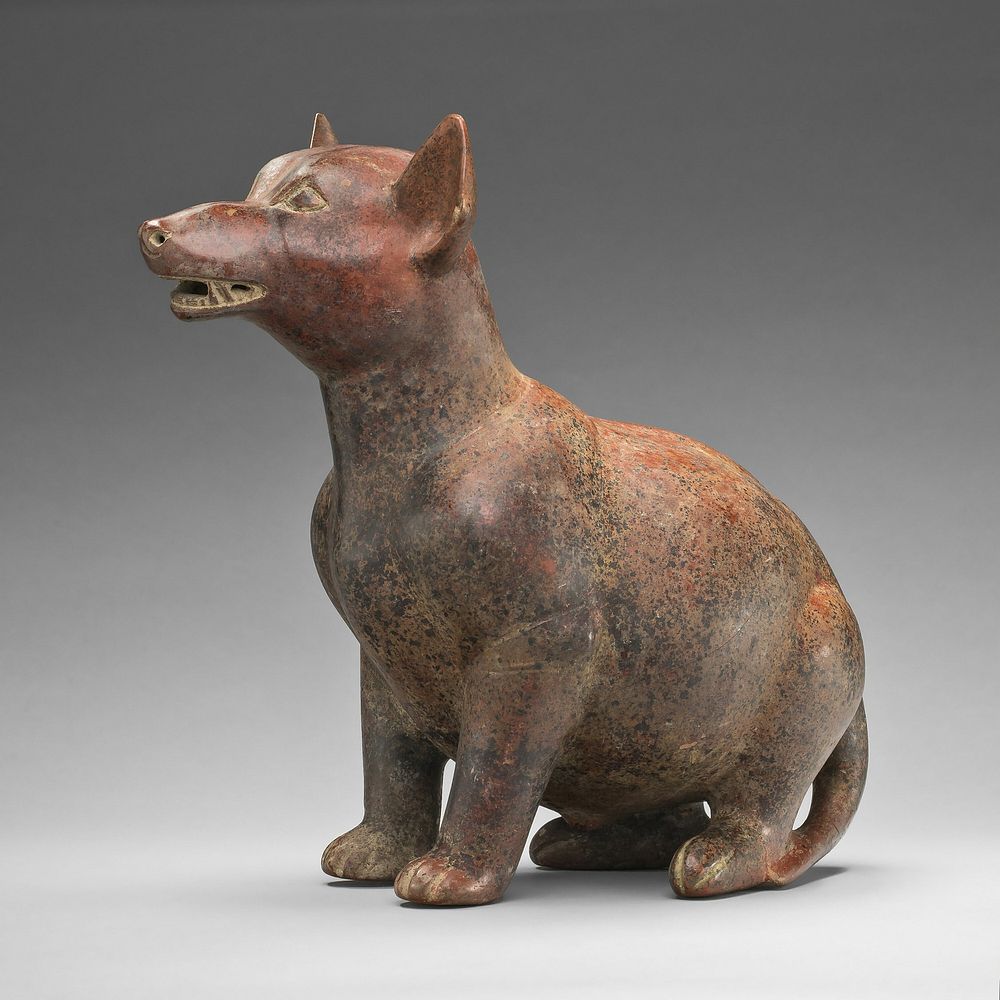 Figure of a Seated Dog by Colima