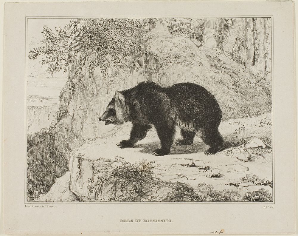Mississippi Bear by Antoine Louis Barye